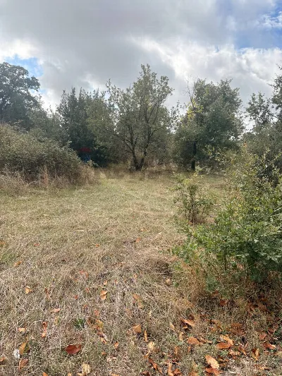 Rustico/Casale in vendita a Belpasso - foto 5