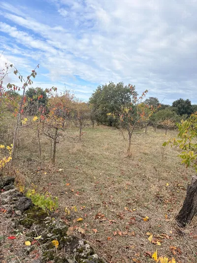 Rustico/Casale in vendita a Belpasso - foto 7