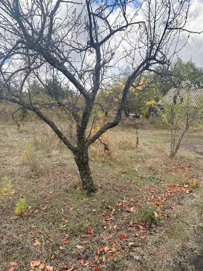 Rustico/Casale in vendita a Belpasso - foto 8