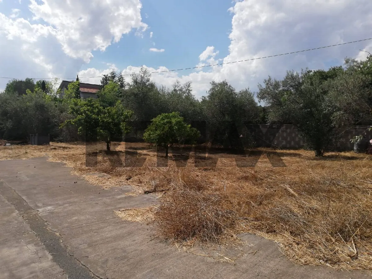 Villa in vendita a Misterbianco - foto 2