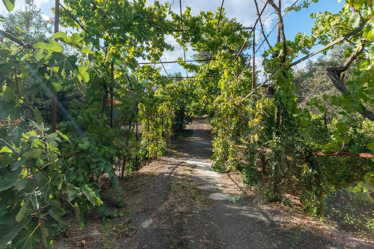 Villa in vendita a Belpasso - foto 3