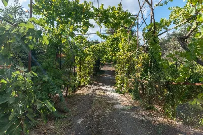 Villa in vendita a Belpasso - foto 3