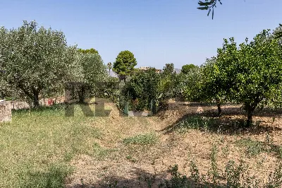 Villa in vendita a Mineo - foto 4