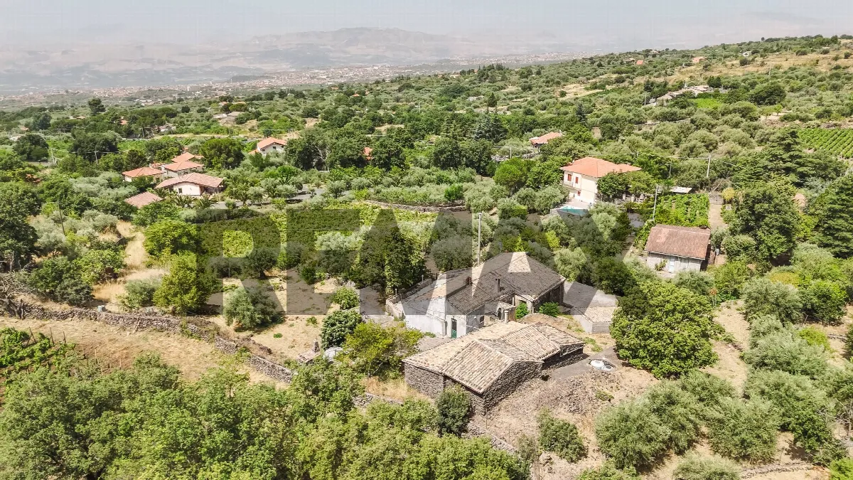 Villa in vendita a Biancavilla - foto 2