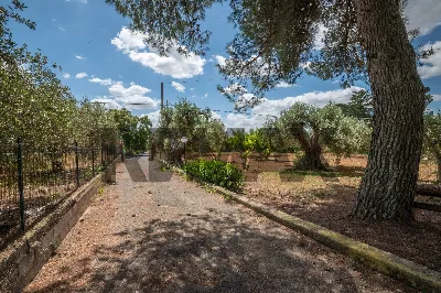 Villa in vendita a Caltagirone - foto 3