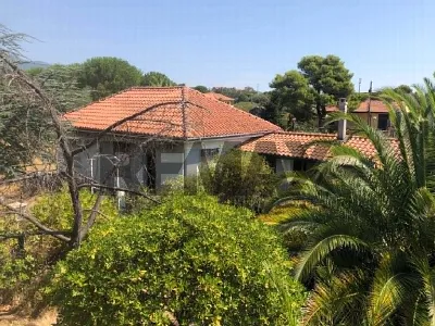 Villa a Pedara