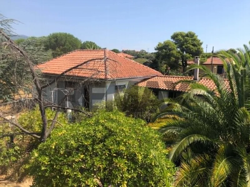 Villa in vendita a Pedara - foto 1