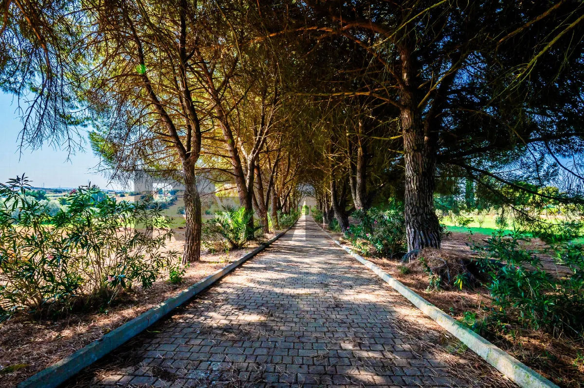 Villa in vendita a Grammichele - foto 4