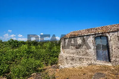 Rustico/Casale in vendita a Mascali - foto 3