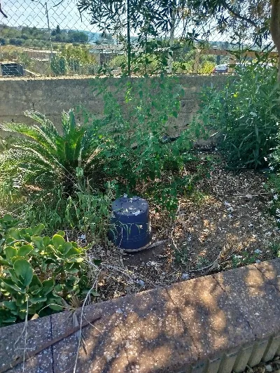 Villa in vendita a Grammichele - foto 7