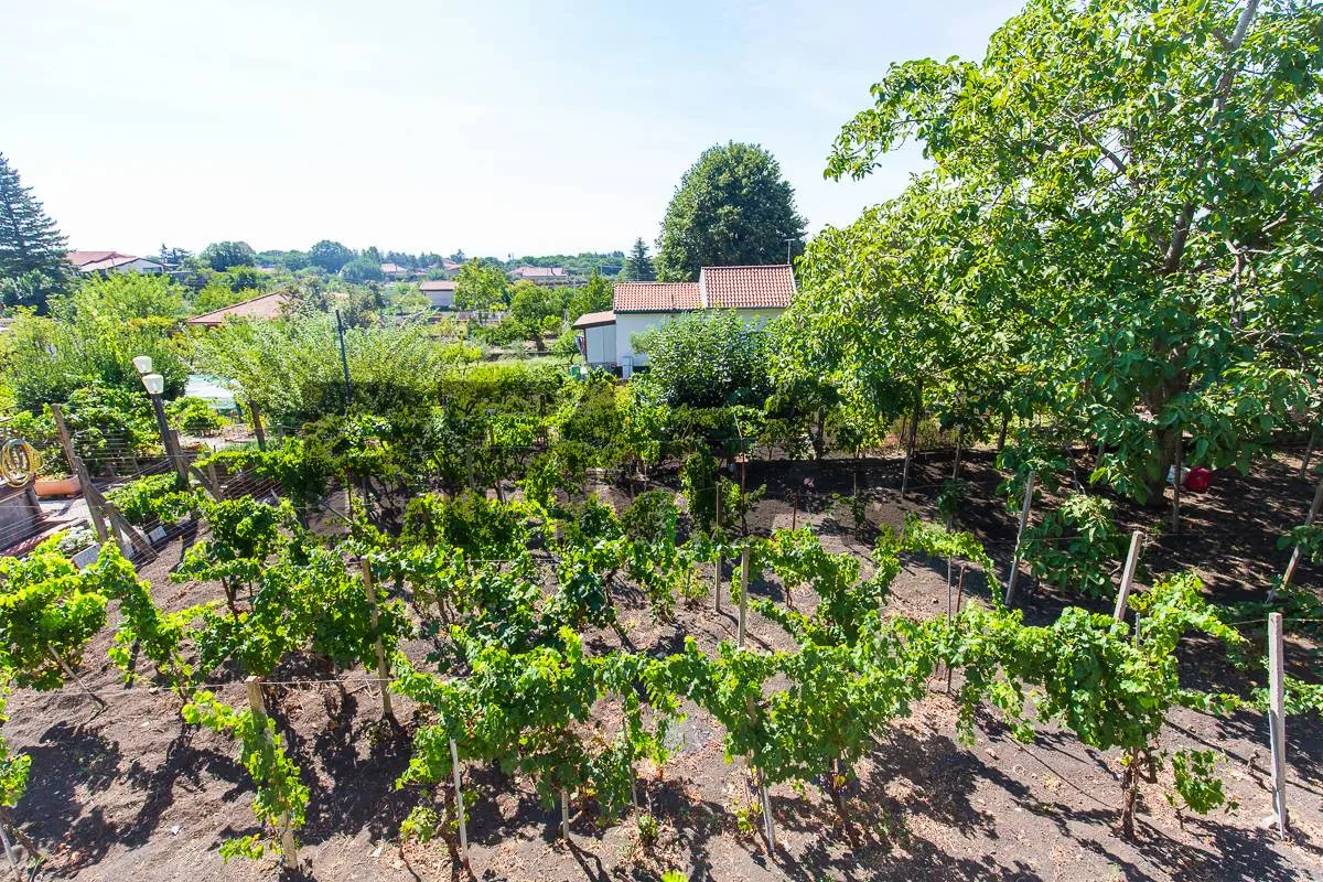 Villa in vendita a Nicolosi - foto 4