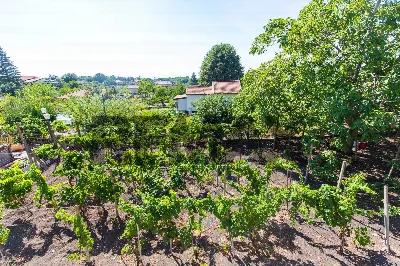 Villa in vendita a Nicolosi - foto 4
