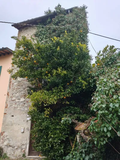 Rustico/Casale in vendita a Lucca, Sant'an... - foto 2