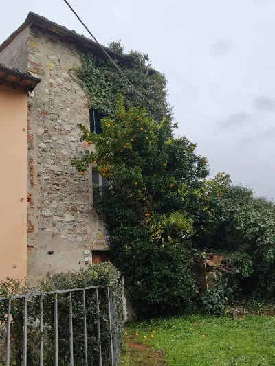 Rustico/Casale in vendita a Lucca, Sant'an... - foto 3