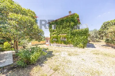 Villa in vendita a Monte Porzio Catone, Bo... - foto 4