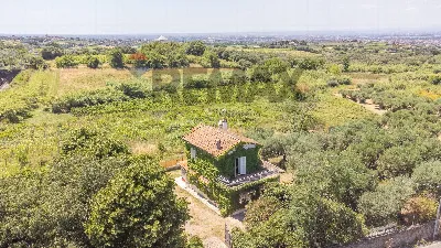 Villa in vendita a Monte Porzio Catone, Bo... - foto 8