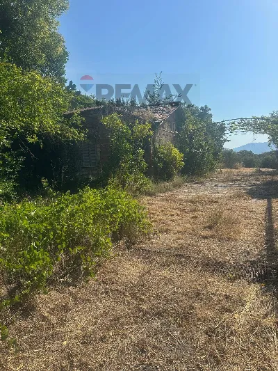 Villa in vendita a Velletri - foto 2