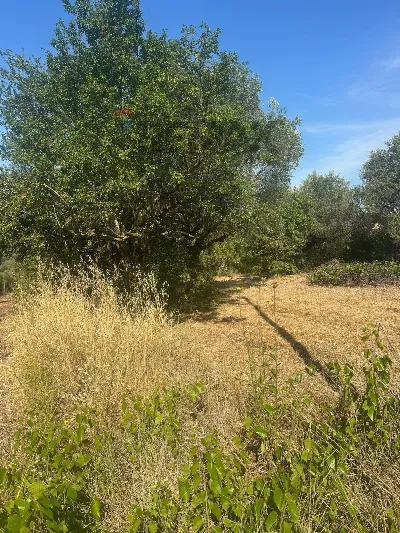 Villa in vendita a Velletri - foto 4