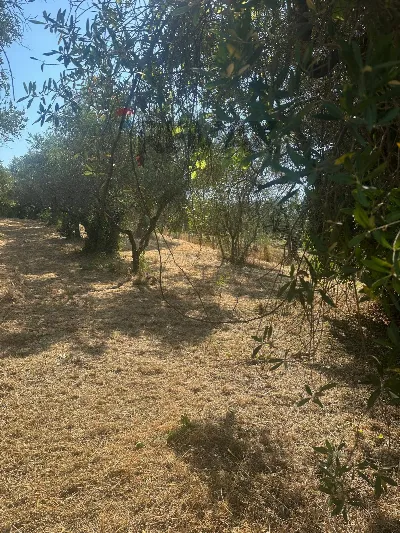 Villa in vendita a Velletri - foto 5