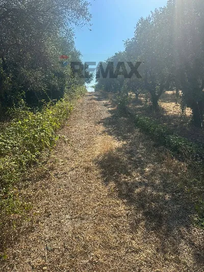 Villa in vendita a Velletri - foto 9