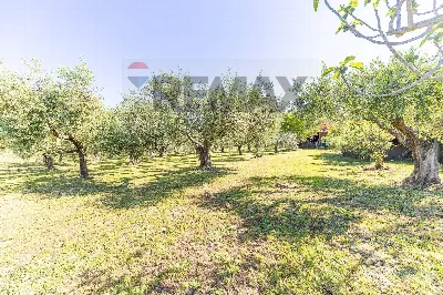 Villa in vendita a Marino - foto 7