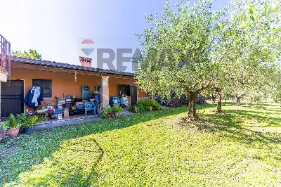 Villa in vendita a Marino - foto 9