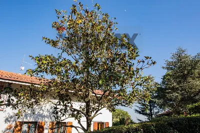 Villa in vendita a Falconara Marittima - foto 6