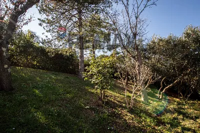 Villa in vendita a Falconara Marittima - foto 7