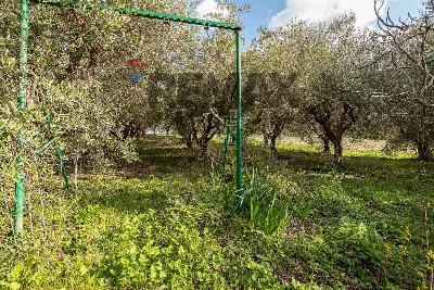 Casa Indipendente in vendita a Cupramontan... - foto 5
