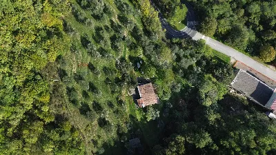 Rustico/Casale in vendita a Serra San Quir... - foto 1
