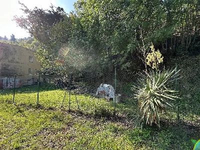 Rustico/Casale in vendita a Serra San Quir... - foto 10