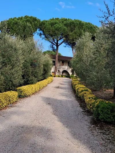 Rustico/Casale in vendita a Empoli - foto 5