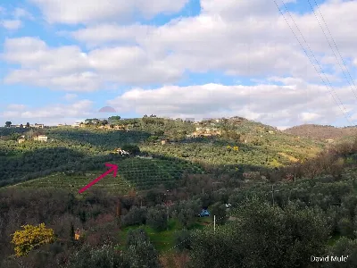 Rustico/Casale in vendita a Vinci - foto 1