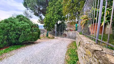 Rustico/Casale in vendita a Vinci - foto 5