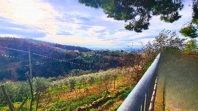 Rustico/Casale in vendita a Vinci - foto 8
