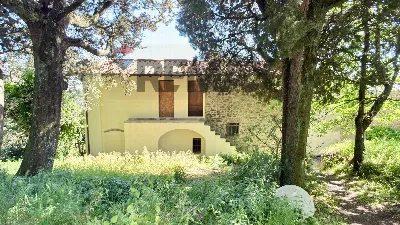 Rustico/Casale in vendita a Vinci - foto 1