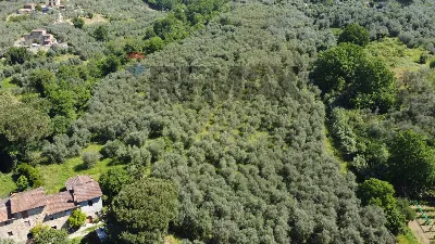 Rustico/Casale in vendita a Vinci - foto 5