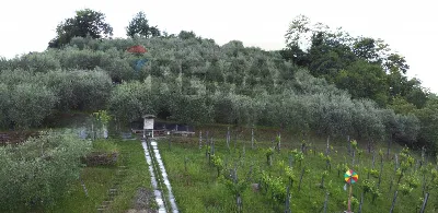Casa Indipendente in vendita a Castelfiore... - foto 10