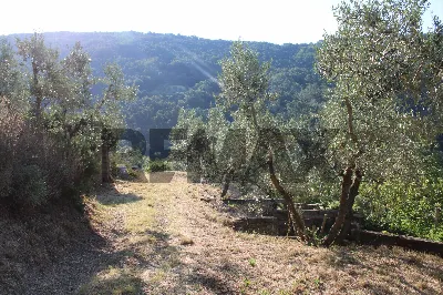 Rustico/Casale in vendita a Vinci - foto 10