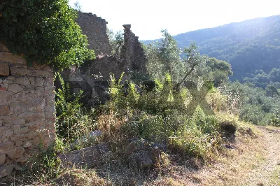 Rustico/Casale in vendita a Vinci - foto 2
