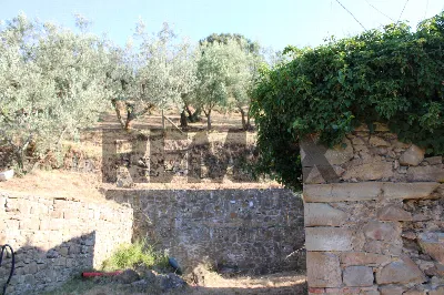 Rustico/Casale in vendita a Vinci - foto 3