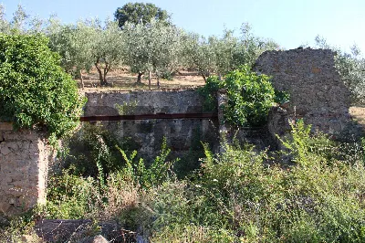 Rustico/Casale in vendita a Vinci - foto 4
