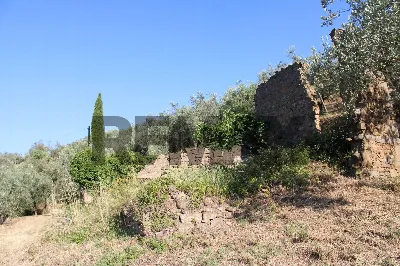 Rustico/Casale in vendita a Vinci - foto 5