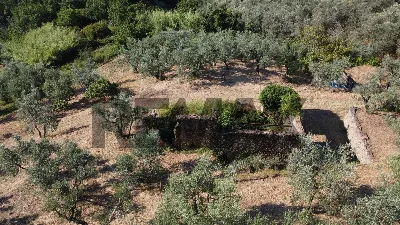 Rustico/Casale in vendita a Vinci - foto 9