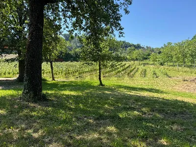 Rustico/Casale in vendita a Brisighella - foto 10