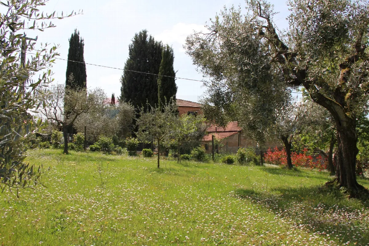 Rustico/Casale in vendita a Montepulciano - foto 5