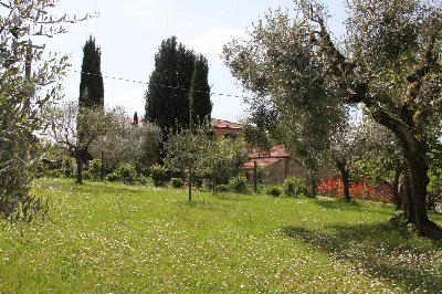 Rustico/Casale in vendita a Montepulciano - foto 4