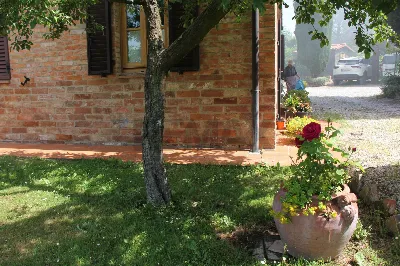 Rustico/Casale in vendita a Montepulciano - foto 9
