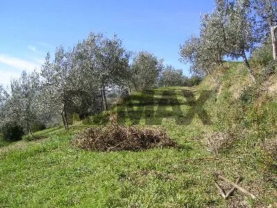 Rustico/Casale in vendita a Assisi - foto 2