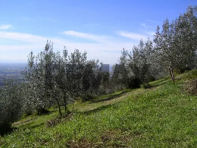 Rustico/Casale in vendita a Assisi - foto 4